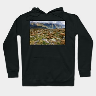 Alpine landscape in a cloudy day Hoodie